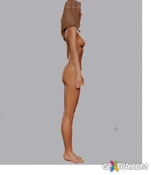 Gnomon Workshop - Human Anatomy: Female [UPDATED 2012]