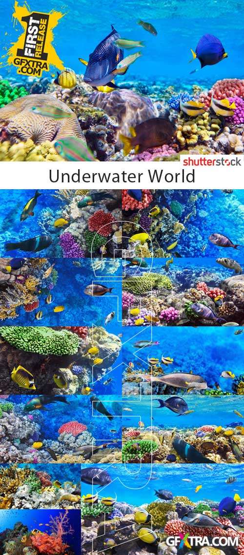 Underwater World - 25 HQ JPEG Stock Photo