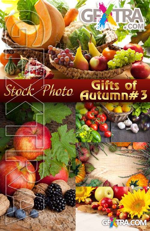 Gifts of Autumn #3 - Stock Photo