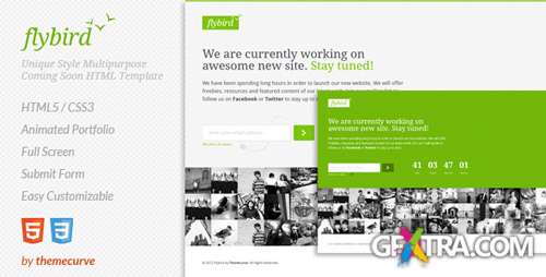 ThemeForest - Flybird - Coming Soon Page - RIP