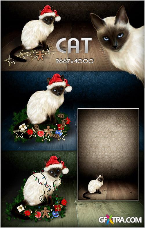 10 Christmas Cat Backgrounds - PSD and JPG Images For Winter Celebrates