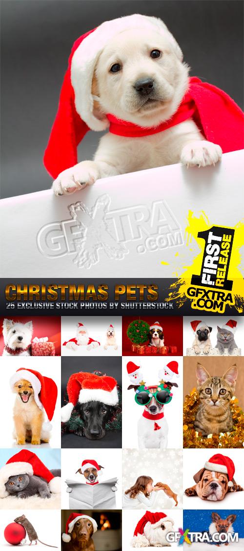 Christmas Pets 25xJPG