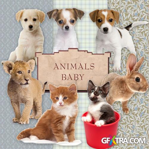 Scrap-kit - Animals Baby
