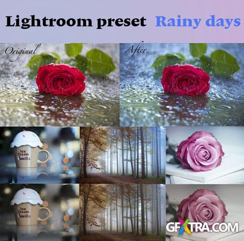 Lightroom Preset Rainy Days Phtoshop Actions
