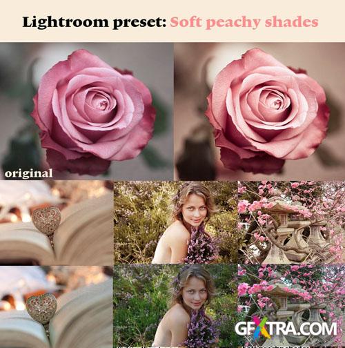 Soft Peachy Shades Photoshop Actions