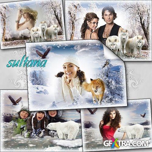 Three winter frames for photos with the animals