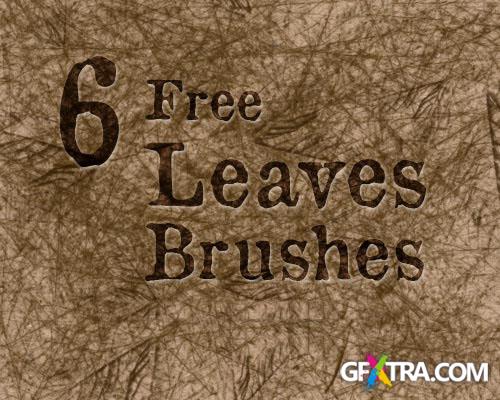 6 Leaves Photoshop Brushes