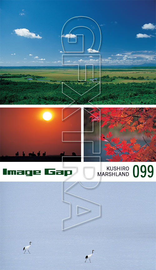 Image Gap IG099 Kushiro Marshland
