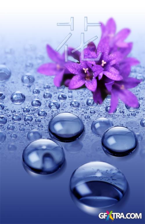 PSD Source - Blue Drops Of Water Lily Background