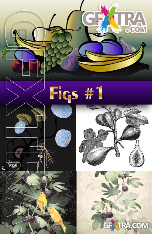 Figs # 1 - Stock Vector