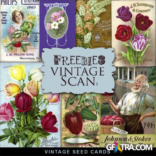 Scrap-kit - Vintage Seed Cards