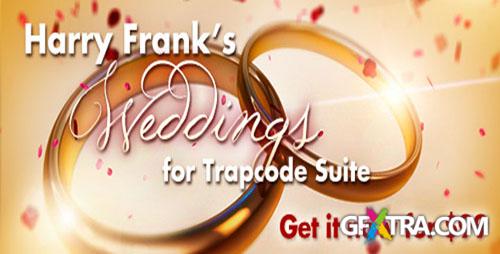 Red Giant Guru Presets: Harry Frank\'s Weddings For Trapcode Suite - After Effects projects