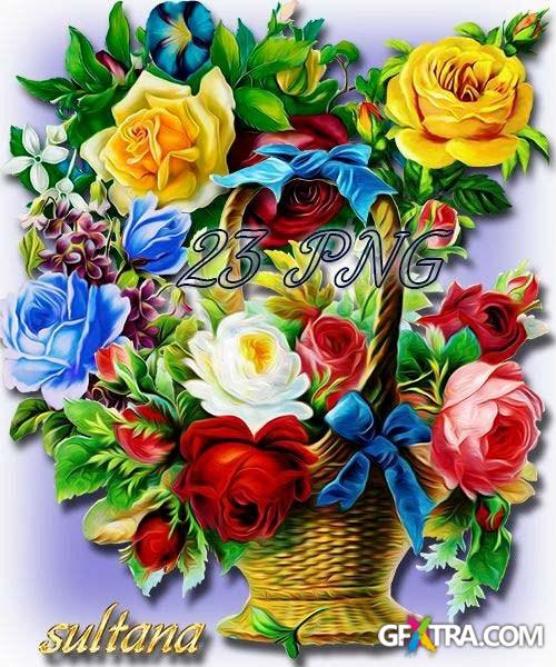 Paint the roses and bouquets of roses on a transparent background