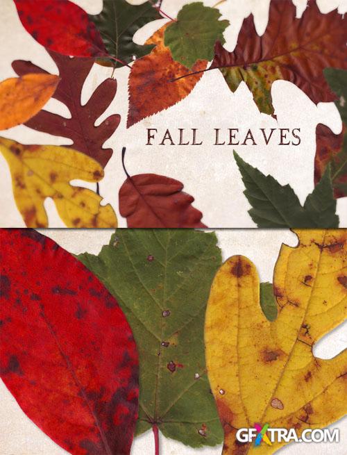 WeGraphics - Fall Leaves Texture Pack