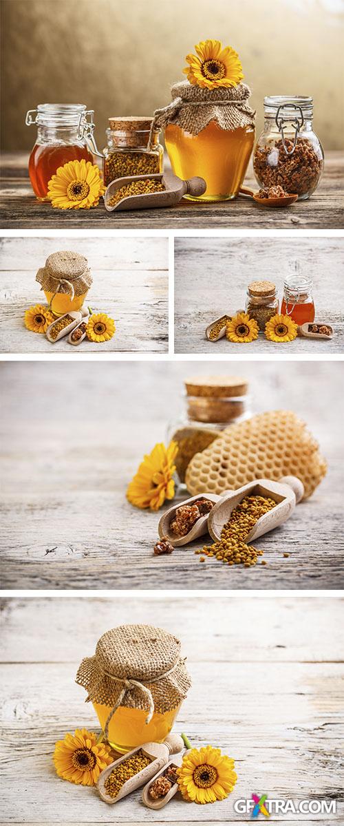 Stock Photo: Flower honey, pollen and propolis