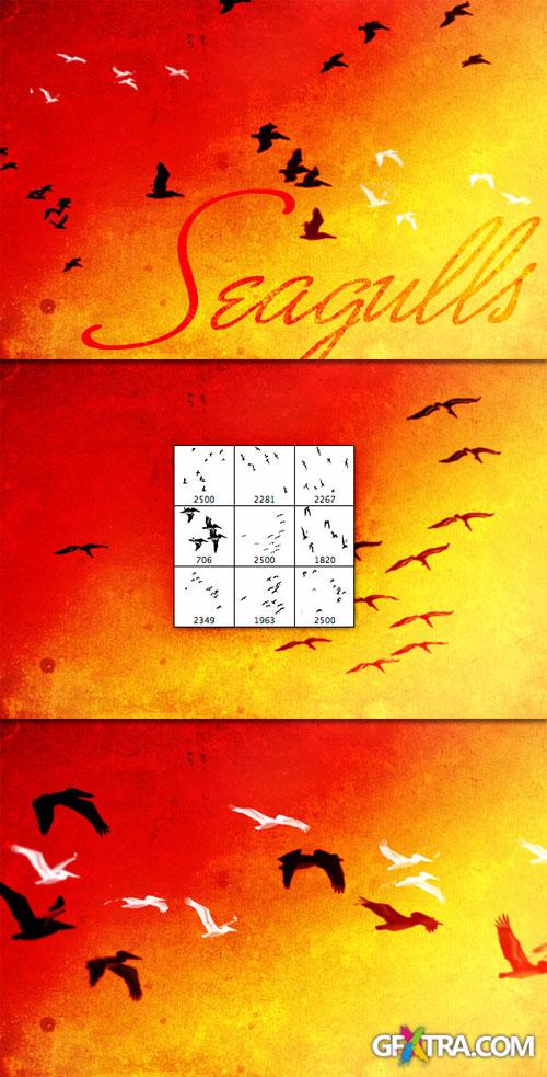WeGraphics - Flock of Seagulls