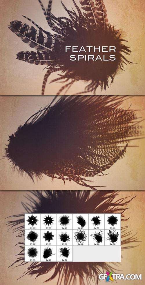 WeGraphics - Feather Spirals
