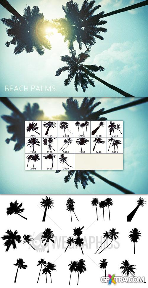 WeGraphics - Beach Palms