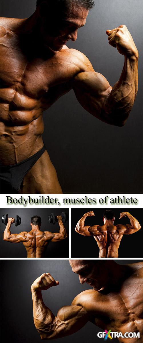 Stock Photo: Bodybuilder, muscles of athlete