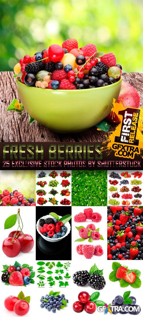 Fresh Berries 25xJPG