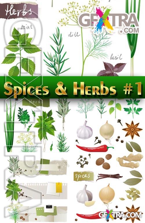 Spices and Herbs #1 - Stock Vector