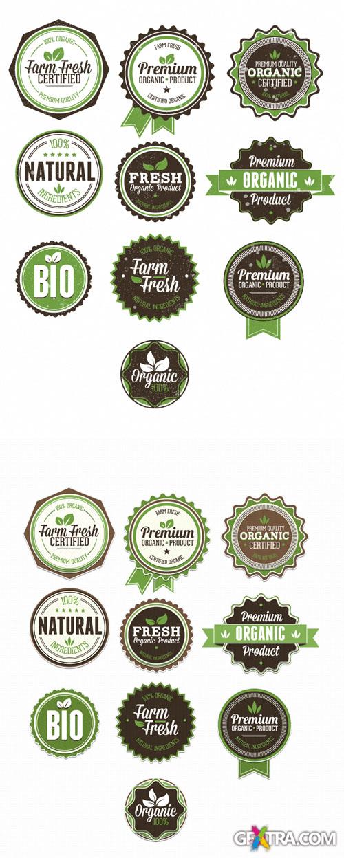 Organic and Eco Vector Bages