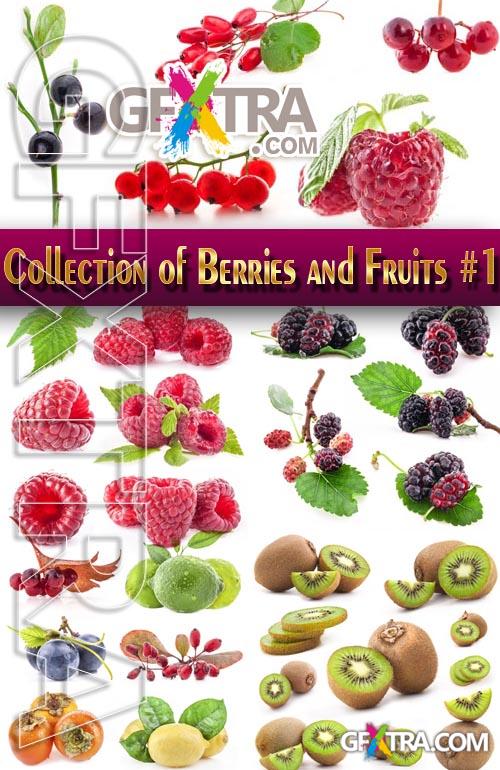 Berries & Fruits 5xJPG