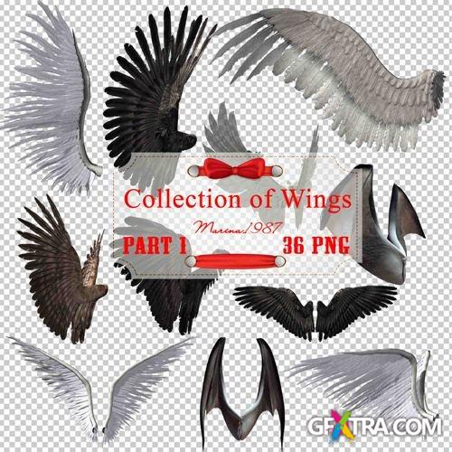 Clipart PNG - Big collection of wings (Part 1)