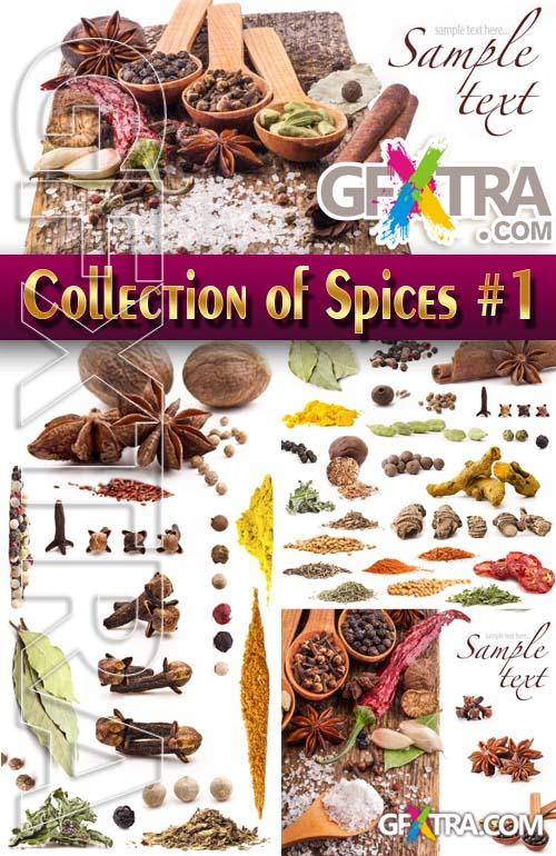 Food. Mega Collection. Spices #1 - Stock Photo