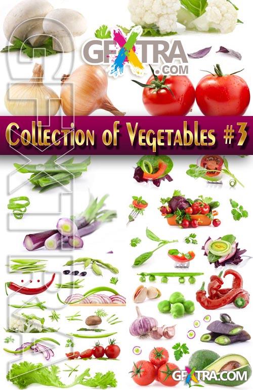 Food. Mega Collection. Vegetables #3 - Stock Photo