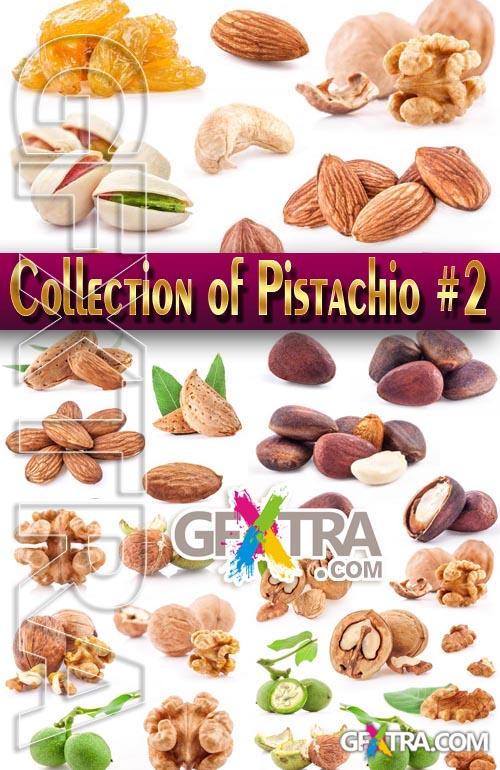 Food. Mega Collection. Nuts #2 - Stock Photo
