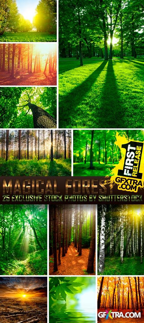Magical Forest 25xJPG
