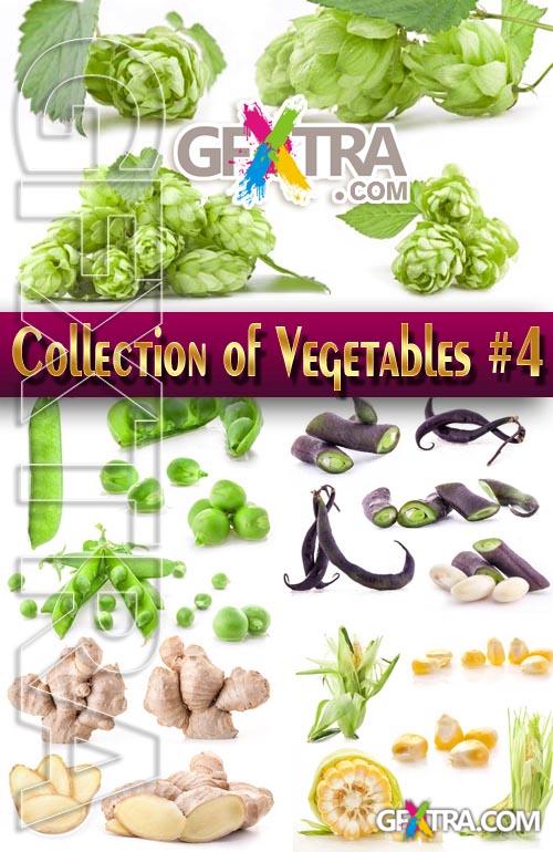 Food. Mega Collection. Vegetables #4 - Stock Photo