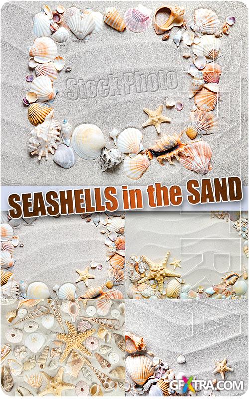 Seashells in the sand - UHQ Stock Photo