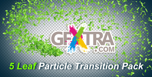 Videohive 5 Leaf Particle Transition Pack 4748859