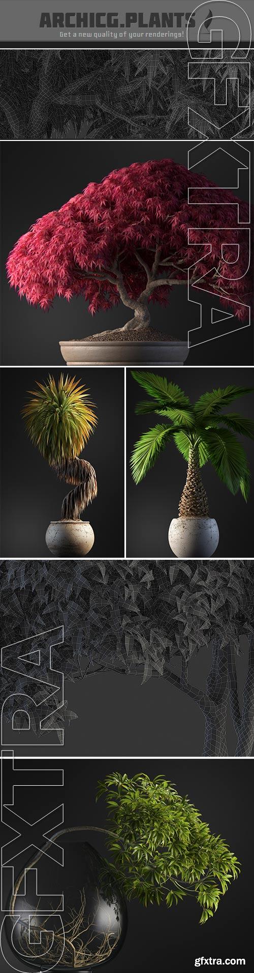 ArchiCG.Plants - Bonsai 4interior v.1
