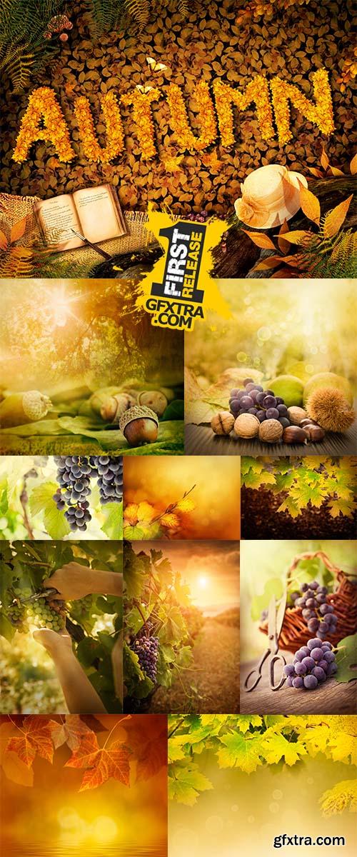 Stock Photo: Autumn leaves and fruit