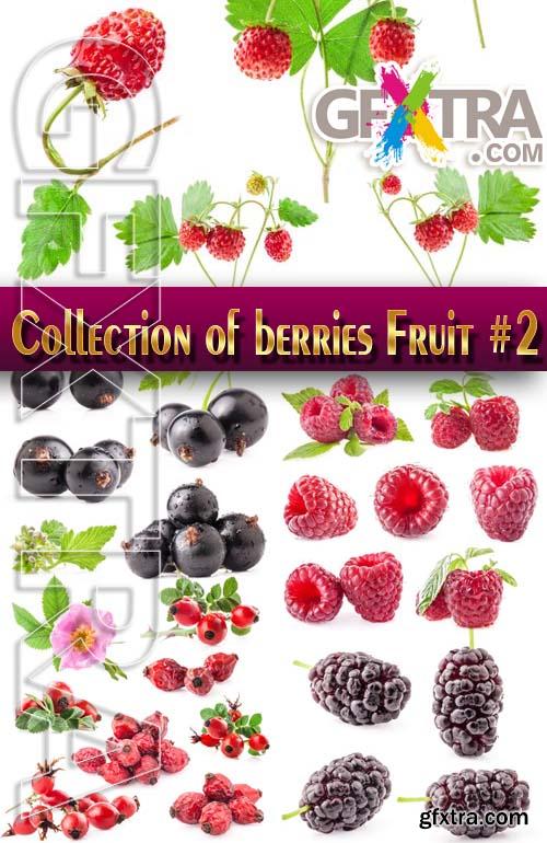 Food. Mega Collection. Berries and Fruits #2 - Stock Photo