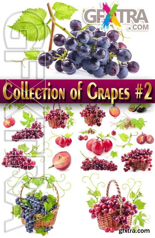 Food. Mega Collection. Grapes #3 - Stock Photo