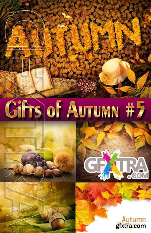 Gifts of Autumn #5 - Stock Photo