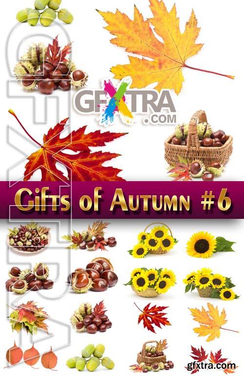 Gifts of Autumn #6 - Stock Photo
