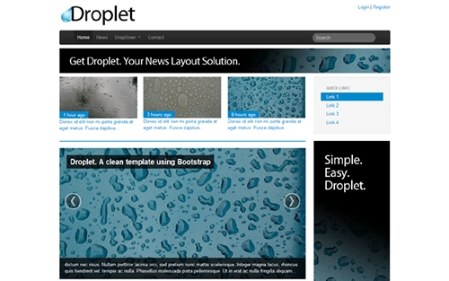 WrapBootstrap - Droplet - News / Blog Theme