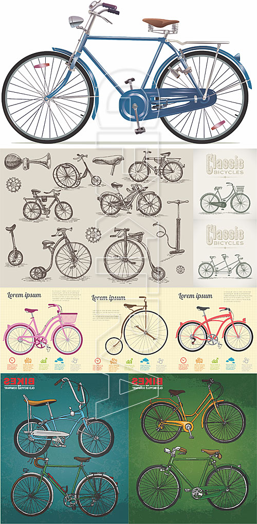 Retro bicycles illustration