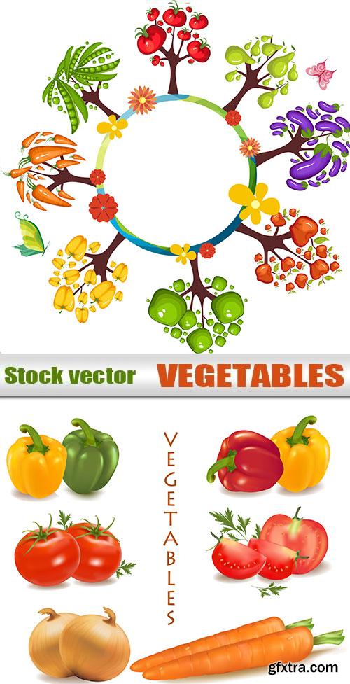 Vegetable Vectors, 2xEPS