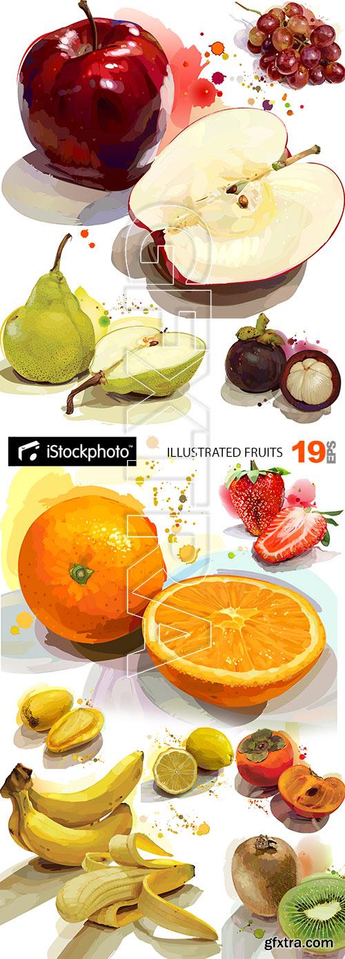 Illustrated Fruit Vectors 19xEPS