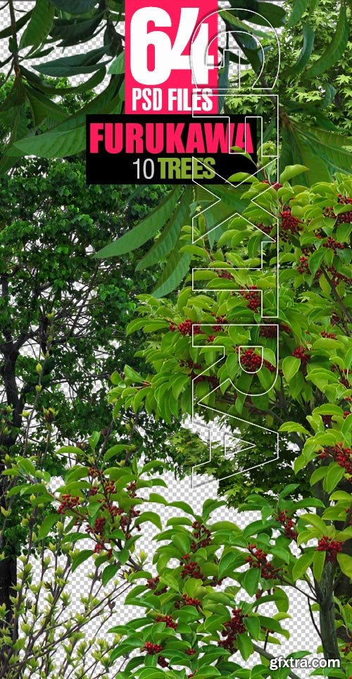 Furukawa 10 Trees 64xPSD