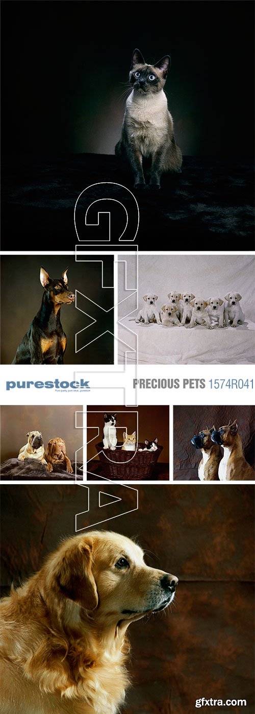 Purestock 1574R041 Precious Pets