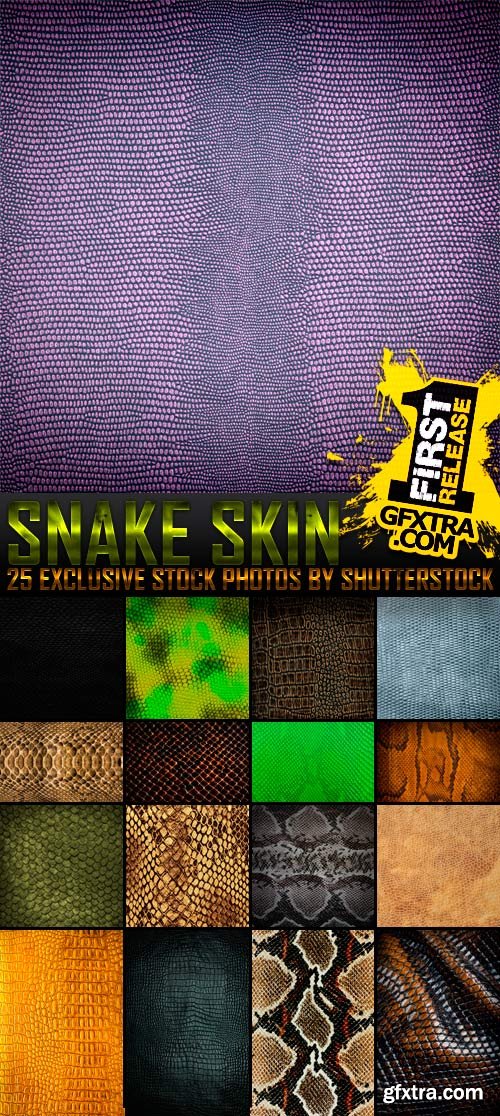 Snake Skin 25xJPG