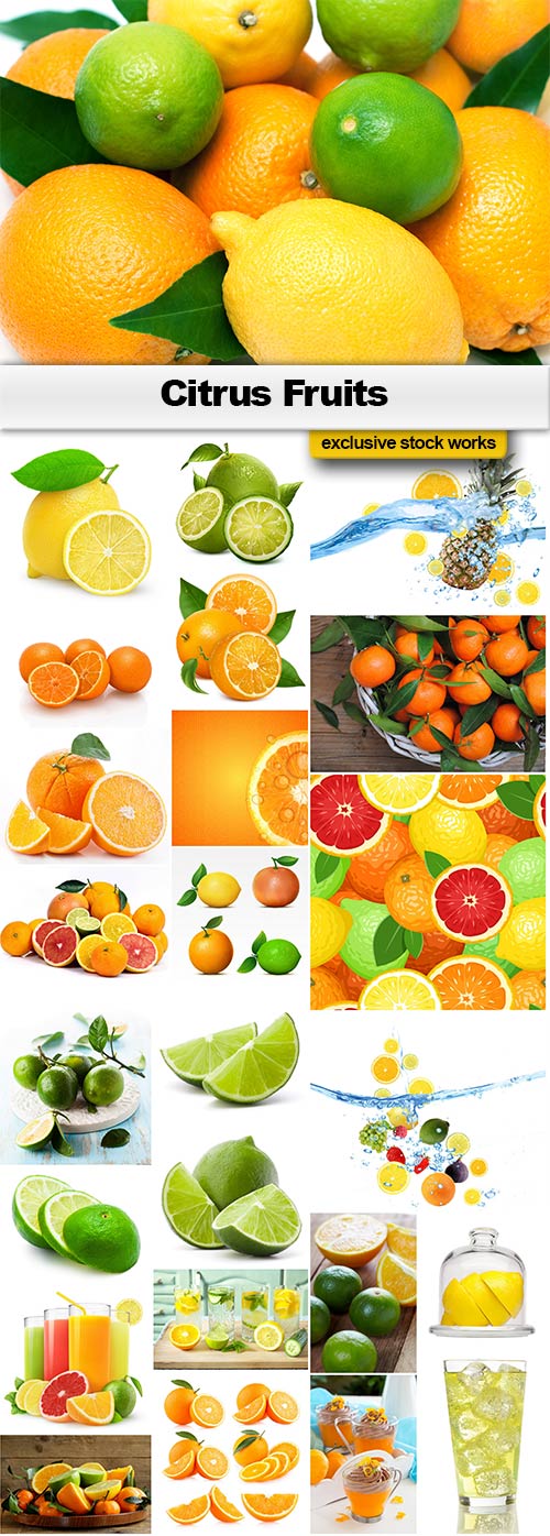 The Citrus Fruits - 20x JPEGs
