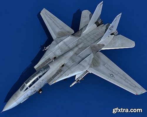 3D Model - Grumman F-14 Tomcat